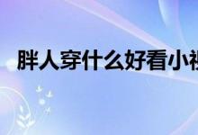胖人穿什么好看小視頻（胖人穿什么好看）