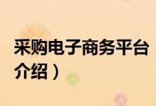 采購電子商務(wù)平臺（關(guān)于采購電子商務(wù)平臺的介紹）