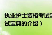 執(zhí)業(yè)護(hù)士資格考試寶典（關(guān)于執(zhí)業(yè)護(hù)士資格考試寶典的介紹）