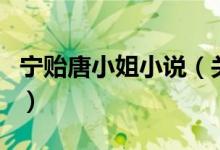 寧貽唐小姐小說(shuō)（關(guān)于寧貽唐小姐小說(shuō)的介紹）