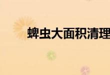 蜱蟲大面積清理全過程（蜱的讀音）
