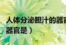 人體分泌膽汁的器官是哪個（人體分泌膽汁的器官是）