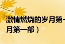 激情燃燒的歲月第一部完整版（激情燃燒的歲月第一部）