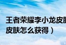 王者榮耀李小龍皮膚怎么用（王者榮耀李小龍皮膚怎么獲得）