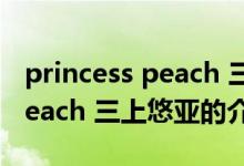 princess peach 三上悠亞（關(guān)于princess peach 三上悠亞的介紹）