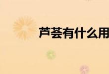 蘆薈有什么用（蘆薈有什么用）