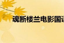 魂斷樓蘭電影國(guó)語(yǔ)版（魂斷樓蘭電影）