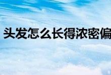 頭發(fā)怎么長得濃密偏方（頭發(fā)怎么長得濃密）