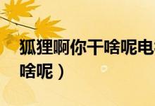 狐貍啊你干啥呢電視劇國語版（狐貍啊 你干啥呢）