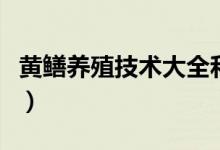 黃鱔養(yǎng)殖技術(shù)大全和利潤(rùn)（黃鱔養(yǎng)殖技術(shù)大全）
