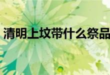 清明上墳帶什么祭品（清明上墳帶什么祭品）