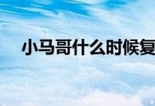 小馬哥什么時(shí)候復(fù)出（小馬哥什么意思）
