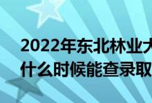 2022年?yáng)|北林業(yè)大學(xué)錄取時(shí)間及查詢(xún)?nèi)肟冢ㄊ裁磿r(shí)候能查錄?。?class=