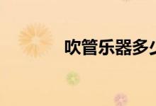 吹管樂器多少錢（吹管樂器）