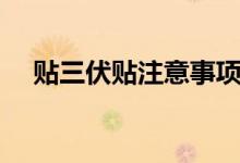 貼三伏貼注意事項（貼三伏貼注意事項）