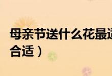 母親節(jié)送什么花最適合呢（母親節(jié)送什么花最合適）
