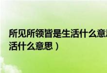 所見所領皆是生活什么意思男生個性簽名（所見所領皆是生活什么意思）
