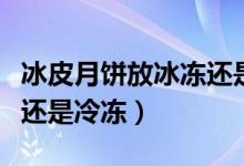 冰皮月餅放冰凍還是冷藏（冰皮月餅是要冷藏還是冷凍）