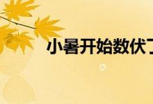 小暑開(kāi)始數(shù)伏了嗎（小暑開(kāi)鵬翼）