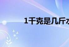 1千克是幾斤水（1千克是幾斤）