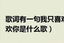 歌詞有一句我只喜歡你（直到遇見了你我只喜歡你是什么歌）