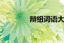 辯組詞語(yǔ)大全（辯組詞語(yǔ)）