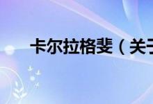 卡爾拉格斐（關(guān)于卡爾拉格斐的介紹）