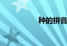 種的拼音（種的拼音）