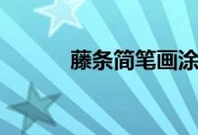 藤條簡筆畫涂色（藤條簡筆畫）