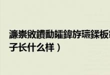 濂崇敓鐨勫皬鍏斿瓙鍒板簳闀夸粈涔堟牱（初中女生的小兔子長什么樣）