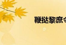 鞭撻黎庶令人悲（鞭撻）
