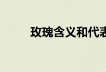 玫瑰含義和代表什么（玫瑰 含義）