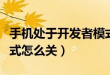 手機處于開發(fā)者模式怎么關(guān)掉（處于開發(fā)者模式怎么關(guān)）