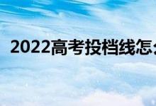 2022高考投檔線怎么查（投檔線查詢方法）