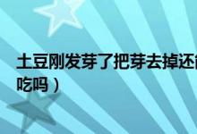 土豆剛發(fā)芽了把芽去掉還能吃嗎（土豆發(fā)芽了把芽去掉還能吃嗎）