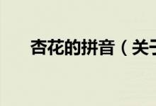杏花的拼音（關于杏花的拼音的介紹）
