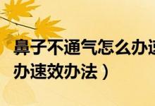 鼻子不通氣怎么辦速效辦法（鼻子不通氣怎么辦速效辦法）