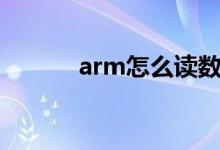 arm怎么讀數(shù)據(jù)（arm怎么讀）