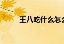 王八吃什么怎么養(yǎng)（王八吃什么）