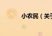 小農(nóng)民（關(guān)于小農(nóng)民的介紹）