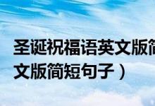 圣誕祝福語英文版簡短小學生（圣誕祝福語英文版簡短句子）