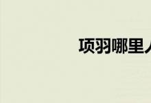 項(xiàng)羽哪里人（項(xiàng)羽范增）