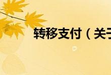 轉(zhuǎn)移支付（關(guān)于轉(zhuǎn)移支付的介紹）