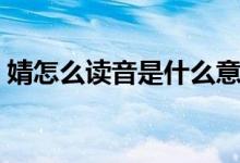 婧怎么讀音是什么意思是什么（婧怎么讀音）