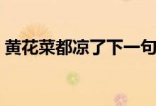 黃花菜都涼了下一句怎么接（黃花菜都涼了）