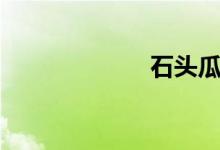 石頭瓜（石頭瓜）