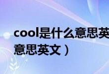 cool是什么意思英文網(wǎng)絡用語（cool是什么意思英文）