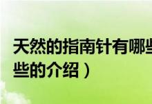 天然的指南針有哪些（關于天然的指南針有哪些的介紹）