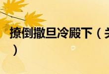 撩倒撒旦冷殿下（關(guān)于撩倒撒旦冷殿下的介紹）