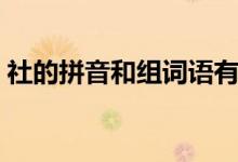 社的拼音和組詞語(yǔ)有哪些（社的拼音和組詞）
